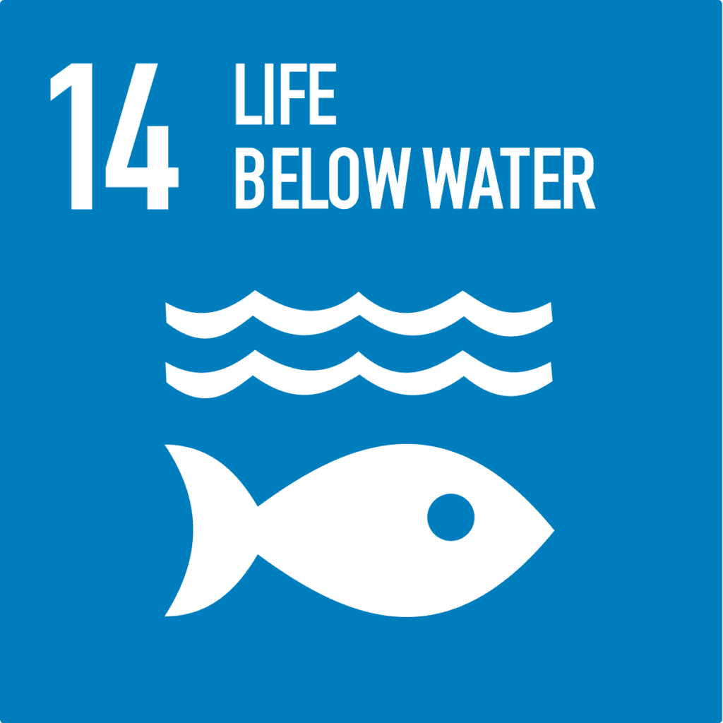 Sustainable development goal
