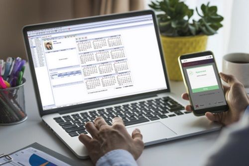 SQL accounting software interface