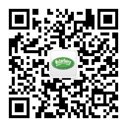 WeChat Official Account