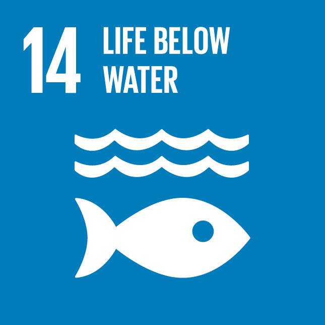 14 life below water