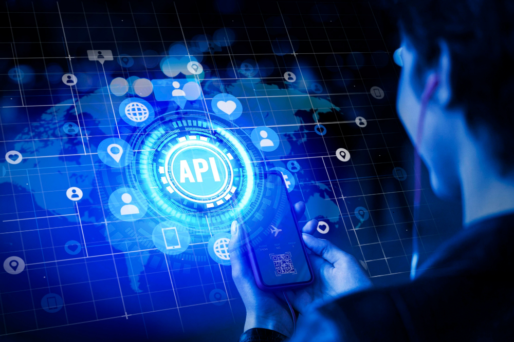 E-Invoice API Integration