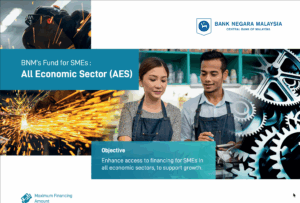 BNM – All Economic Sectors Facility (AES) BNM – All Economic Sectors Facility (AES)